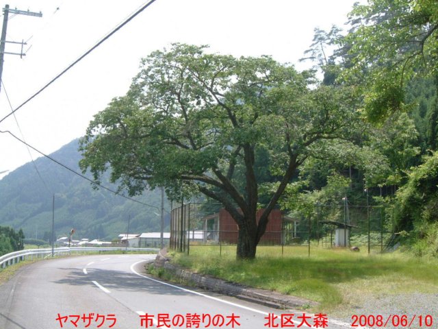 dscf02282.jpg