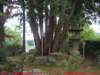 dscf0229_small.jpg