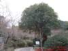 dscf0234_small.jpg