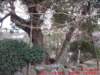 dscf0235_small.jpg