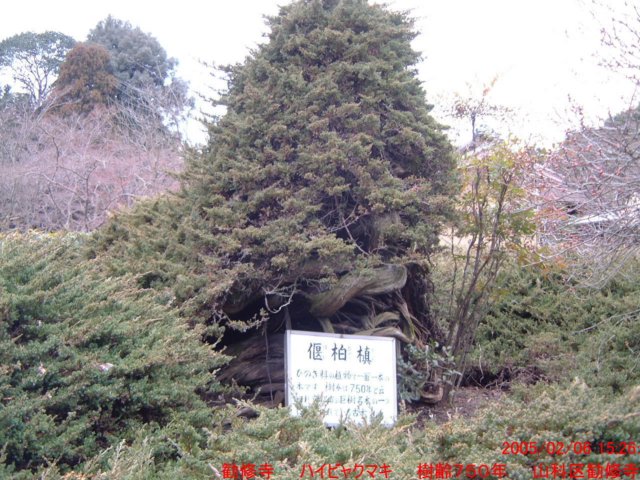 dscf02412.jpg