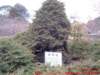 dscf02412_small.jpg