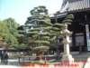 dscf0241_small.jpg