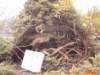 dscf0242_small.jpg