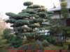 dscf02462_small.jpg