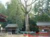 dscf0246_small.jpg
