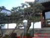 dscf0254_small.jpg