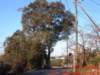 dscf0269_small.jpg