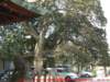 dscf0283_small.jpg