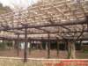dscf0291_small.jpg