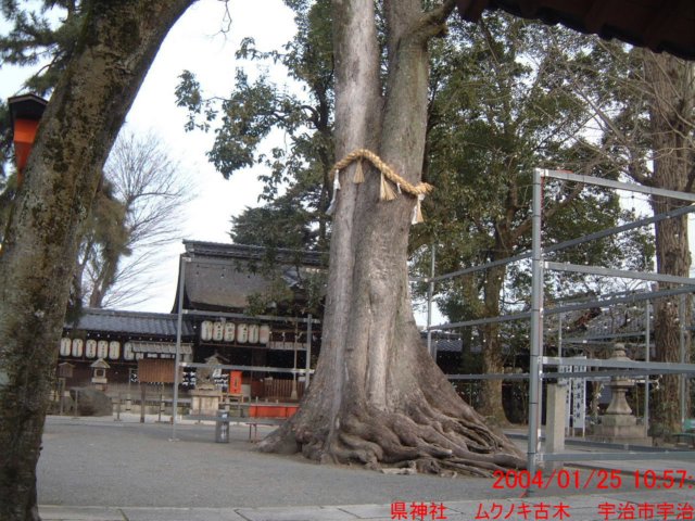 dscf0294.jpg