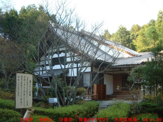 dscf0302.jpg