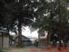 dscf0314_small.jpg