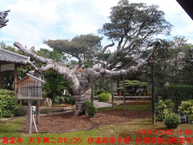 dscf0321.jpg