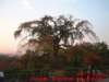 dscf03212_small.jpg