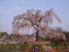 dscf0347_small.jpg
