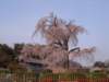 dscf0349_small.jpg
