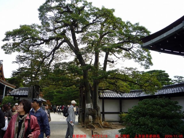 p1010631.jpg