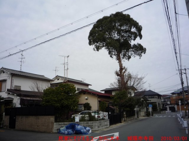 p1020085.jpg