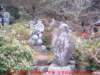 dscf0011_small.jpg