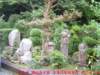 dscf01912_small.jpg