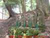 dscf0218_small.jpg