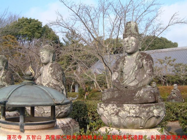 dscf0374.jpg