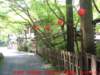 dscf0208_small.jpg