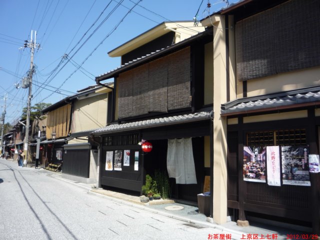 p1060419.jpg