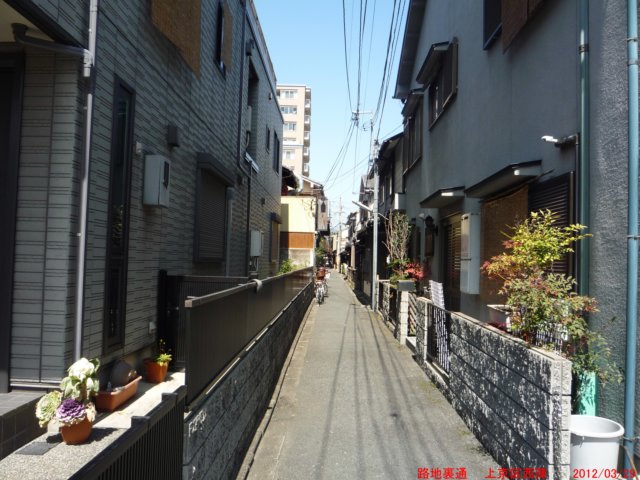 p1060442.jpg