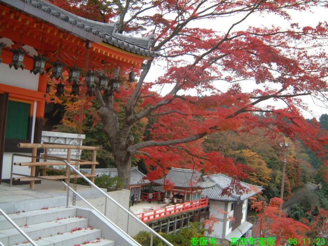 dscf0003.jpg