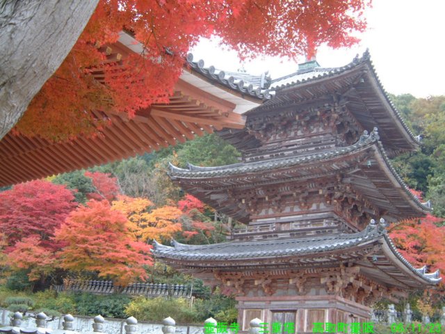 dscf0004.jpg