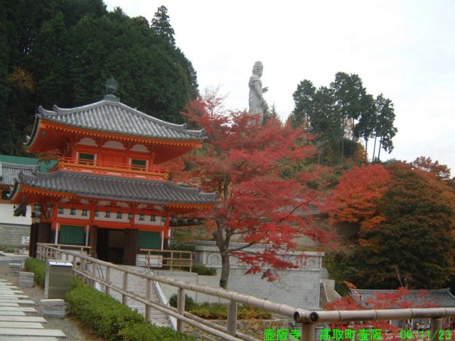 dscf0005.jpg