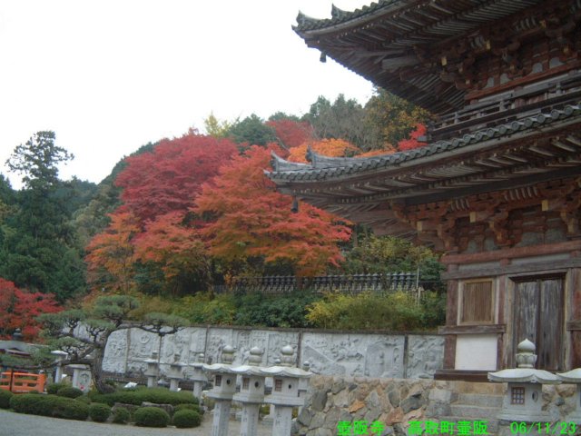 dscf0006.jpg