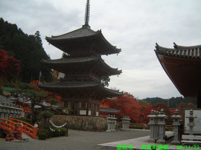 dscf0007.jpg