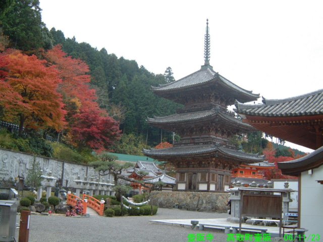 dscf0008.jpg