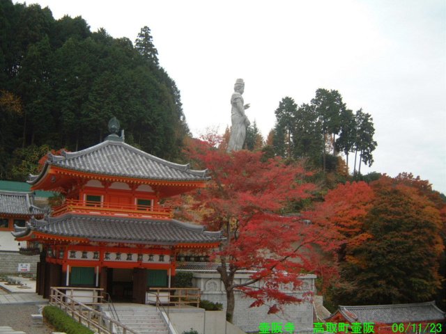 dscf0009.jpg