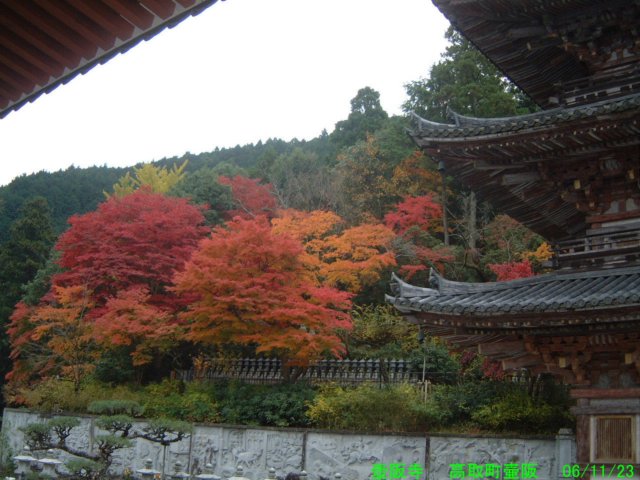dscf0010.jpg