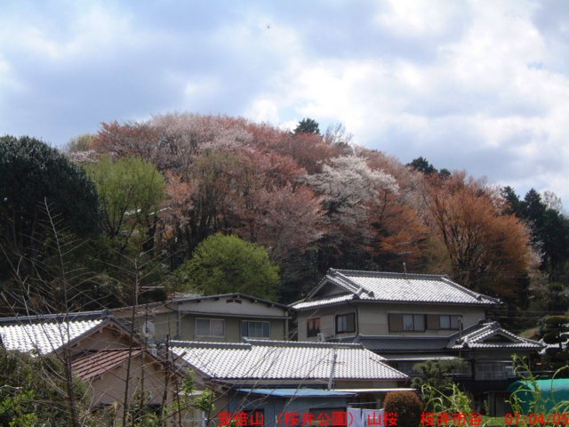 dscf0378.jpg