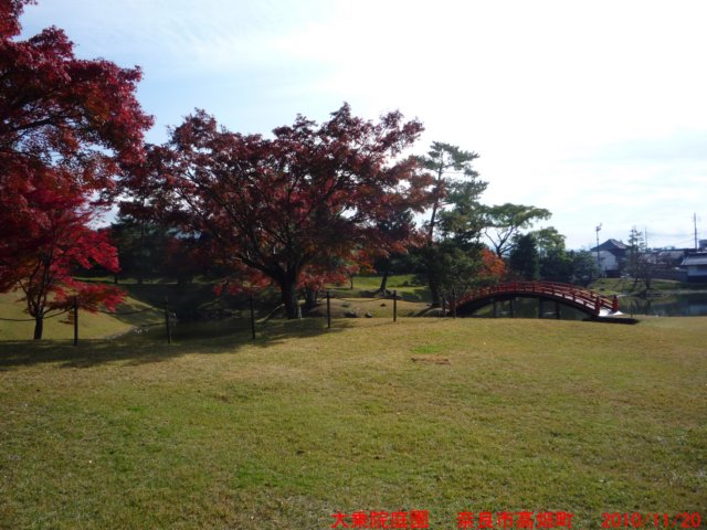 p1020994.jpg