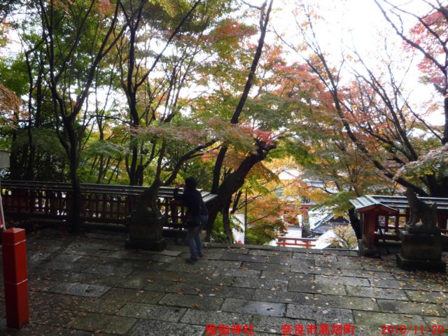 p1030003.jpg