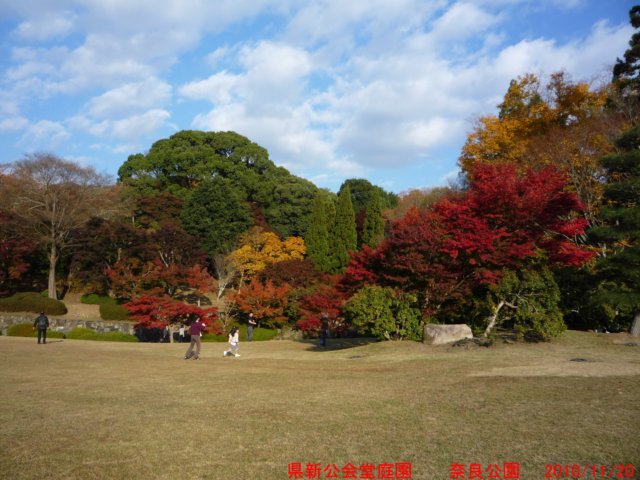p1030013.jpg