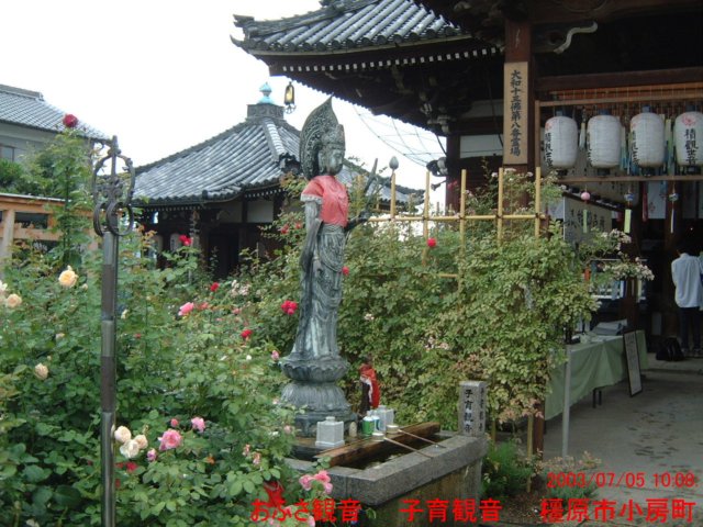 dscf0131.jpg