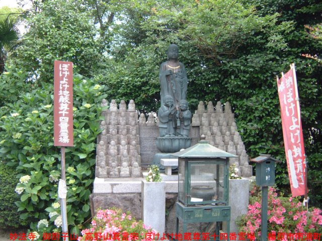 dscf0187.jpg