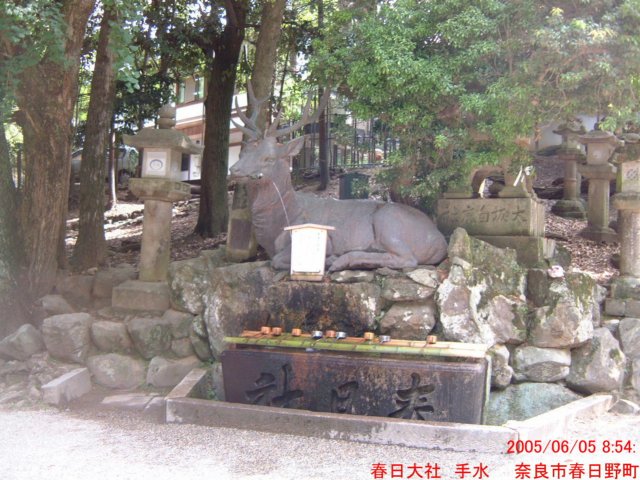 dscf0352.jpg