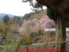 dscf0020_small.jpg