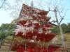 dscf0027_small.jpg
