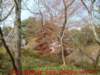 dscf0030_small.jpg
