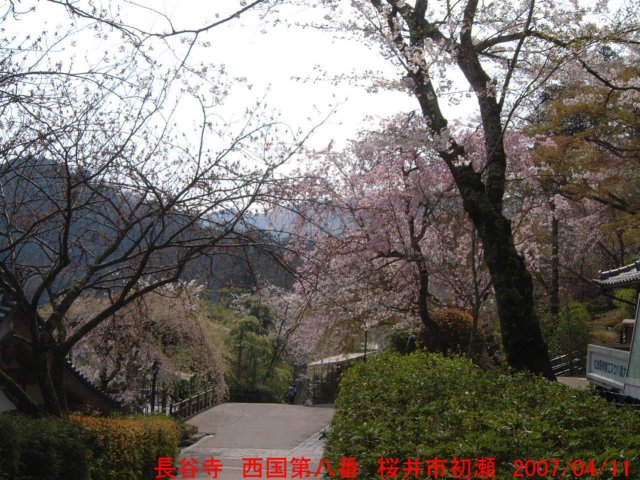 dscf0032.jpg