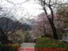 dscf0032_small.jpg